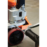 Pistolet graisseur robuste &agrave; levier, 14 oz Capacit&eacute; R.M.G. Prévention