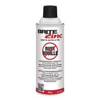 BRITE Zinc&reg; Corrosion Inhibitor, Aerosol Can R.M.G. Prévention