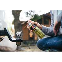 3-in-One&reg; Trailer Hitch Gel Lube, Aerosol Can R.M.G. Prévention