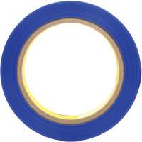 Ruban en polyester 8901, 25,4 mm (1") x 66 m (216'), Bleu R.M.G. Prévention