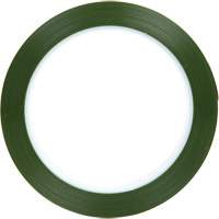 Polyester Tape, Polyester, 25.4 mm (1") W x 66 m (216') L, 1.9 mils Thick R.M.G. Prévention