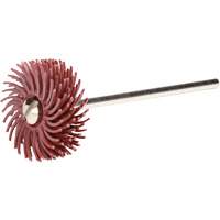 Scotch-Brite Radial Bristle Discs, P220X Grit, 3/4" Dia. R.M.G. Prévention