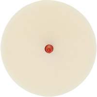 Disque pour enlever les bandes et les adh&eacute;sifs pour moulures Scotch-Brite, 4" dia. R.M.G. Prévention