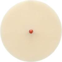 Disque Scotch-Brite 7502 pour retrait de colle et de bandes de moulage, 6" dia. R.M.G. Prévention