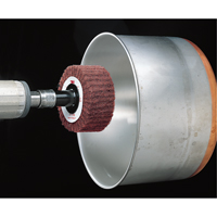 Scotch-Brite Flap Brushes R.M.G. Prévention