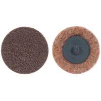 Non-Woven Quick-Change Discs, 3" Dia., Extra Coarse Grit, Aluminum Oxide R.M.G. Prévention