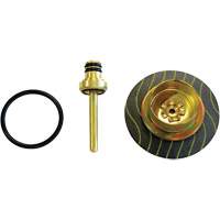 Filter/Regulator - Relieving Diaphragm & Valve Assembly R.M.G. Prévention