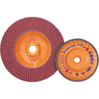 Flap Discs