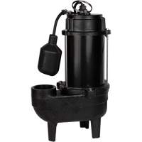 Pompe d'&eacute;gout en fonte, 120 V, 9,5 A, 6000 gal./h, 1/2 CV R.M.G. Prévention