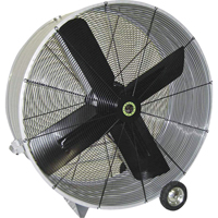 Belt Drive Drum Fans, Industrial, 1 Speed, 48" Diameter R.M.G. Prévention