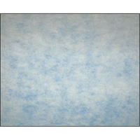 High-Arrestance Synthetic Media Filters, Pad, MERV 5, 24" W x 2" D x 12" H R.M.G. Prévention