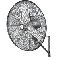 Oscillating Wall Fan, Industrial, 24" Dia., 2 Speeds R.M.G. Prévention