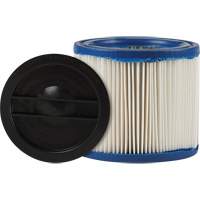 Petit filtre pour aspirateur pour d&eacute;bris secs/humides CleanStream Gore, Cartouche/Hepa, Pour 1 - 6 gal. US R.M.G. Prévention