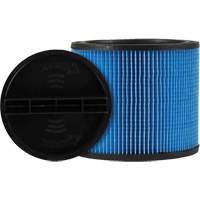 Filtre pour aspirateur Ultra-Web, Cartouche, Pour 5 gal. US R.M.G. Prévention