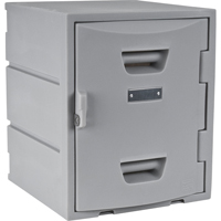 Locker, 15" x 15" x 18", Grey, Assembled R.M.G. Prévention