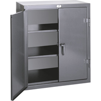 Armoires de rangement hauteur comptoir, Acier, 2 Tablettes, 36" h x 24" la x 20" P, Gris R.M.G. Prévention