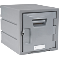 Locker, 12" x 15" x 12", Grey, Assembled R.M.G. Prévention
