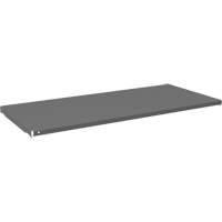 Tablette pour armoire, 47-3/4" x 21-3/8", Capacit&eacute; de 750 lb, Gris R.M.G. Prévention