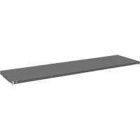 Tablette pour armoire, 59-3/4" x 16-3/8", Capacit&eacute; de 500 lb, Gris R.M.G. Prévention
