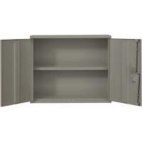 Wall Mounted Cabinet, Steel, 2 Shelves, 30" H x 36" W x 12" D, Grey R.M.G. Prévention