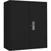Lo-Boy Storage Cabinet, Steel, 2 Shelves, 42" H x 36" W x 18" D, Black R.M.G. Prévention