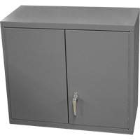 Armoire murale, 27" h x 13-11/16" la x 35-7/8" p, 2 tablettes, Acier, Gris R.M.G. Prévention