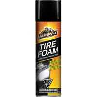 Tire Foam&reg; Protectant R.M.G. Prévention