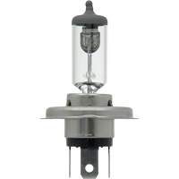 9003 Ampoule de base pour feu avant, Halog&egrave;ne, 61 W/67 W, Blanc cass&eacute; R.M.G. Prévention
