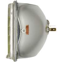 Phare automobile scell&eacute; de base H6054, 35 W, Blanc R.M.G. Prévention