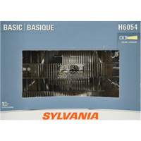 Phare automobile scell&eacute; de base H6054, 35 W, Blanc R.M.G. Prévention