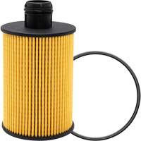 P40147 Lube Oil Filter Element R.M.G. Prévention
