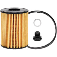 P40164 Lube Oil Filter Element R.M.G. Prévention