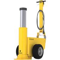 Mammut Jack, 165 Ton(s), Air Hydraulic R.M.G. Prévention