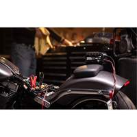 Genius&reg; 10 10-Amp Battery Charger R.M.G. Prévention