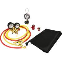 Automotive A/C Nitrogen Leak Test Kit with Regulator R.M.G. Prévention