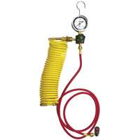 Automotive A/C Nitrogen Leak Test Kit with Regulator R.M.G. Prévention