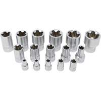 5-Point EPR Torx Socket Set, 16 Pieces, 1/4"/3/8"/1/2" Drive Size R.M.G. Prévention