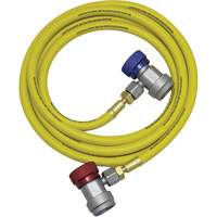 R134a A/C System Flush Hose Assembly R.M.G. Prévention
