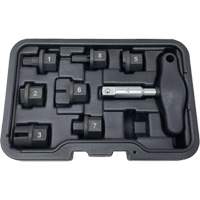 8 Pc. Oil Drain Plug Kit R.M.G. Prévention