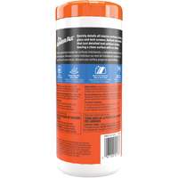 Interior Detailer Wipes R.M.G. Prévention