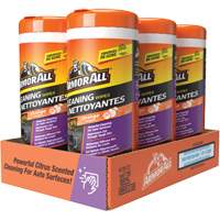Air Freshening Cleaning Wipes R.M.G. Prévention