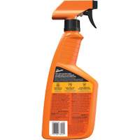 Original Protectant, 32 oz./946 ml, Trigger Bottle R.M.G. Prévention