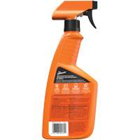 Multi-Purpose Auto Cleaner, 16 oz./473 ml, Trigger Bottle R.M.G. Prévention