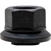 &eacute;crous &agrave; jupe enduits de graphite pour roues &agrave; moyeu-guide 100 mcx R.M.G. Prévention
