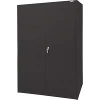 Storage Cabinet, Steel, 4 Shelves, 78" H x 48" W x 24" D, Black R.M.G. Prévention