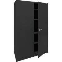 Storage Cabinet, Steel, 4 Shelves, 78" H x 48" W x 24" D, Black R.M.G. Prévention
