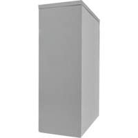 Armoire de rangement &agrave; hauteur de comptoir, Acier, 2 Tablettes, 42" h x 48" la x 24" P, Gris R.M.G. Prévention
