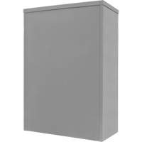 Armoire de rangement &agrave; hauteur de comptoir, Acier, 2 Tablettes, 42" h x 48" la x 24" P, Gris R.M.G. Prévention