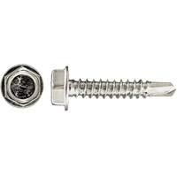 Drill-X Self-Drilling Hex Washer, #14 x 1" L, Zinc Plated R.M.G. Prévention