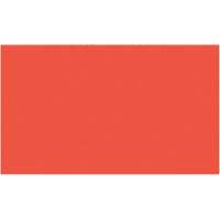 Cales minces chromocod&eacute;es en plastique R.M.G. Prévention